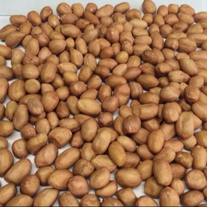 Cacahuetes Blancos de la Marca ECO, Altos Estándares de Gujarat, para Consumo Humano y Animal, Pureza 5 PPB - Product Image 1