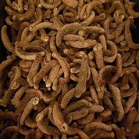 Concombre de mer séché à base de fumier d'ânes, de haute qualité, naturellement transformé, emballé sous vide, riche en collagène, meilleur prix