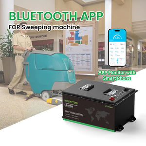 Verbesserte OEM 25,6V 24V 60Ah 80Ah LiFePO4-Batterie für Elektrische Reinigungsfahrzeuge - Product Image 4