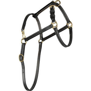 Fremont Totalmente ajustable Negro Cob Tamaño Caballo Halter Cuero sintético suave con herrajes de latón duraderos y costuras de contraste - Product Image 5