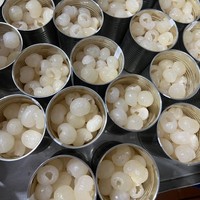 Vietnam Leverancier Bestverkopende 20Oz Longan In Blik In Lichte Siroop Kwaliteit Exportproduct Tegen Goedkope Prijs Heerlijk Fruit