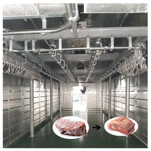 Customized Industrial Meat Thawing Chamber <strong>Cold</strong> Room High Humidity Low Temperature Defrosting <strong>Machine</strong> with Core Motor Component - Product Image 2