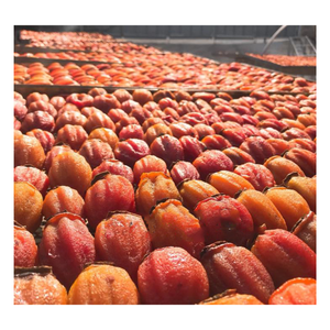 Caqui seco rojo/Proceso AD Caqui seco rojo/Mejor fruta seca del principal proveedor en Vietnam 99 GD - Product Image 5