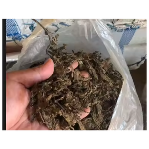 LEADING EXPORT PRODUCT <b>GRASS</b> JELLY FROM VIETNAMESE SUPPLIER - Product Image 2