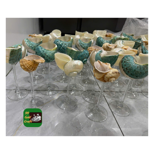 GAFAS NATUARALES SOSTENIBLES DE CONCHA MARINA DISEÑO CREATIVO PARA MESA DE DECORACIÓN DE 99 DATOS DE ORO - Product Image 5