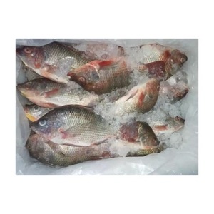 Wholesale Seafood Frozen Whole Round Nile Tilapia <b>Fish</b> - Product Image 4
