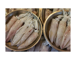 Achetez des calmars surgelés entiers de qualité supérieure à bas prix, parfaits pour griller les sautés et les repas de famille à tout moment - Product Image 4