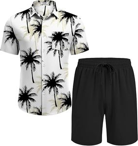 Conjunto Casual de Verano para Hombre de 2 Piezas, Camiseta Polo con Estampado Digital 3D, Pantalones Cortos de Manga Corta, Pantalones Cortos Deportivos Hawaianos de Punto - Product Image 1