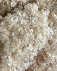 PREMIUM DRIED FISH <b>SCALES</b> / EXPORT QUALITY FROM VIETNAM - Product Image 6