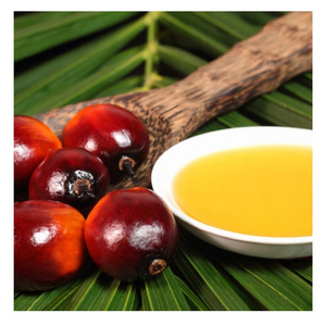 100% น้ำมันคาโนลากลั่น/น้ำมันเรพซีด - Product Image 5