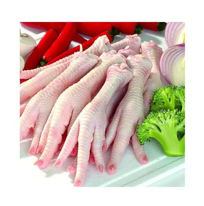 Patas de Pollo Congeladas, Patas de Pollo Procesadas Congeladas de Brasil, Patas y Pies de Pollo Congelados de Primera Calidad - Product Image 2
