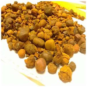 Vente chaude Naturel Ox Cheveux Gallstones Bovins Vache Gallstones Comprimés à Bon Marché Prix Expédition Rapide - Product Image 1