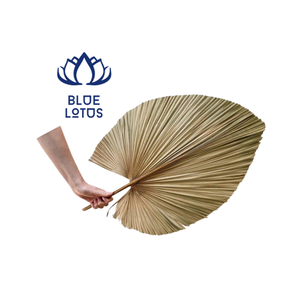 L'article au prix le plus bas est le petit ventilateur de poche d'été en feuille de palmier de style traditionnel avec raphia pour la décoration - Product Image 1