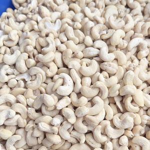 ราคาเม็ดมะม่วงหิมพานต์ทั่วโลก Ws180แซนติโกเวียดนามผู้จำหน่ายที่เชื่อถือได้ - Product Image 1