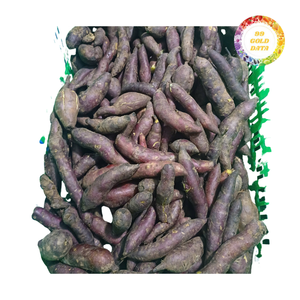 Frites de patate douce surgelées, texture croustillante, bandes de patate douce surgelées pour la chaîne d'approvisionnement des restaurants, exportation mondiale, vente en gros - Product Image 2