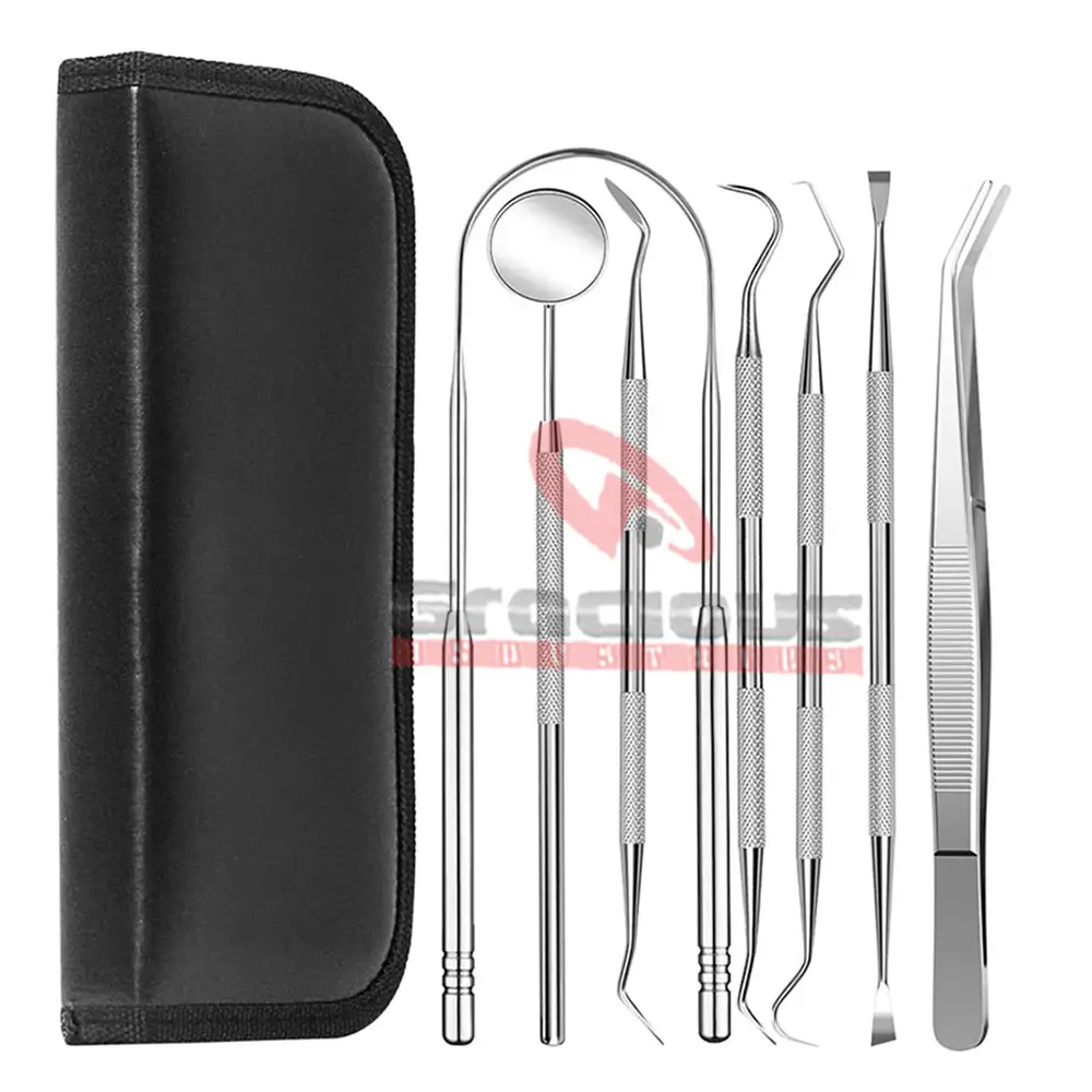 Design Your Own Logo Dental Kit For Sale Professional Hygiene Cleaning Kit Stainless Steel Tooth
