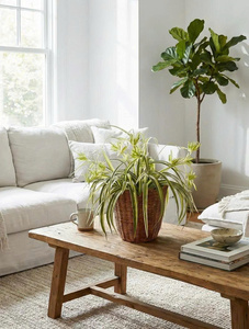 Elegante cesta de almacenamiento de ratán natural con tapa, de fabricante vietnamita, precio al por mayor. - Product Image 4