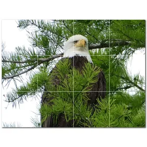 Mural de pared de azulejos de cerámica de pájaro PT500215 17 \ "W X 12,75 \" H Juego de 12 4,25 azulejos cada uno - Product Image 1