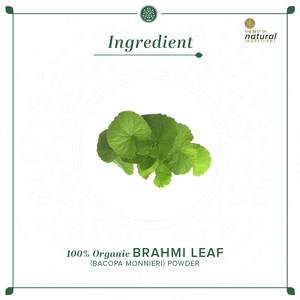 Khadi Poudre Naturelle de Feuilles de Brahmi Biologique-100% Naturel-100g - Product Image 5