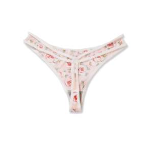 <b>Thong</b> Thin String Triangle Micro Bikini Bottom Swimwear & Beachwear Custom Design Wholesale New Design - Product Image 1