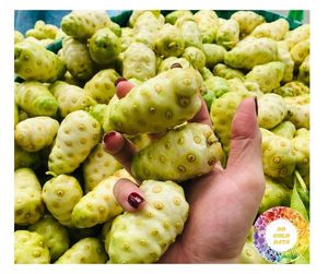 Jugo Noni Excellence de Vietnam Pure Morinda Premium Noni Juice para exportación Hot Deals Jugo Morinda fresco para compradores de hoy - Product Image 1
