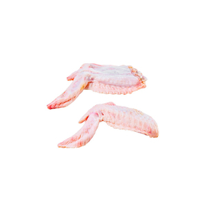 Comprar ahora Precio barato ALAS DE PRIMER Y SEGUNDO SEGMENTOS - Product Image 6