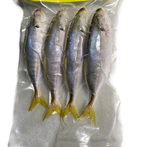 High Quality IQF Frozen Whole Round Yellowtail Scad Seafood Vietnam 24 Months Shelf Life Vacuum Pack Bulk Packaging - Product Image 5