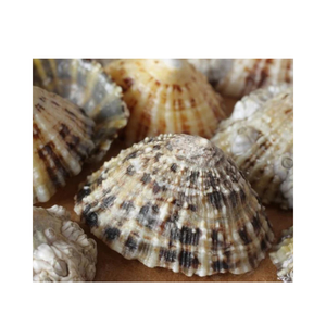 Gobelet écologique fait à la main pour les amoureux de l'océan et des paramètres sur le thème de la mer - Product Image 4