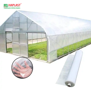 Rouleau de Film de paillis en plastique biodégradable/LDPE de haute qualité couverture agricole en gros paillage noir/argent pour le sol - Product Image 1