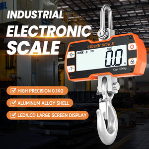 Báscula de Grúa Inalámbrica <span class=keywords><strong>Industrial</strong></span> de Alta Resistencia, Capacidad de Pesaje de 1000 kg, Rentable y Personalizable OEM/ODM para Pesaje <span class=keywords><strong>Industrial</strong></span> - Product Image 2