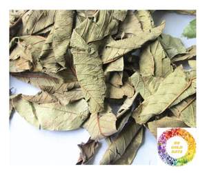 Proveedor superior Hoja de guayaba seca Bebida de bienestar a base de hierbas naturales Pedido a granel Hoja de guayaba seca pura de Vietnam Calidad Premium buenas ofertas - Product Image 1