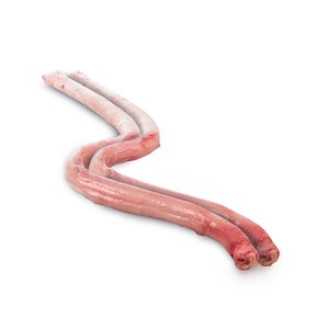 Best price for frozen halal beef <b>pizzle</b> Quality halal beef <b>pizzle</b> for sale - Product Image 6