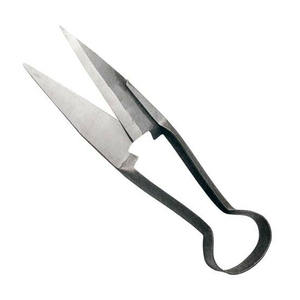 Tijeras de podredumbre de pie de acero inoxidable de alta calidad, instrumentos veterinarios pintados en Negro según el cuidado de la salud animal - Product Image 3