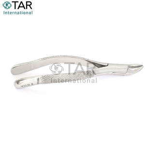 Pince d'extraction 150A Incisives supérieures dentaires universelles Cuspids Bicuspides Becs parallèles Instruments médicaux de haute qualité - Product Image 4