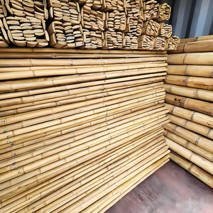 Postes de bambú huecos ecológicos de Vietnam para cercas y paisajismo-Tamaños grandes (2M-6m)-BPF020 - Product Image 6