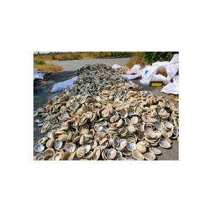 แผ่นไม้อัดเปลือกหอยเป๋าฮื้อธรรมชาติแท้สำหรับตกแต่งเฟอร์นิเจอร์ฝังกีตาร์เครื่องดนตรีขายส่ง - Product Image 3