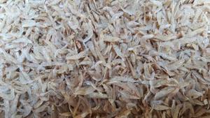 กุ้งอบแห้งขนาดหลากหลายขนาดพร้อมส่งออกคุณภาพสูงกุ้งจากเวียดนามโดย99โกลด์ดาต้า - Product Image 2