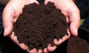 Vermicompost Biologique - Engrais Naturel - Nutrition des Plantes - Agriculture Durable - Product Image 6