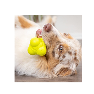 Pelota de goma de reacción para entrenamiento de agilidad, Bola de goma de alta calidad disponible a buen precio - Product Image 1