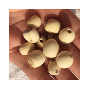 SEMILLAS SECAS DE VIETNAM 100% SEMILLA DE LOTO NEGRO NATURAL-SEMILLA DE FLOR DE LOTO DE ALTA CALIDAD SECA PARA COCINAR/COMER - Product Image 4