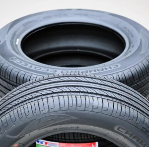 Neumático GT-Radial Champiro Ecotec 215/55ZR16 89V As A/S para Todas las Estaciones, Usado, con 5 Años de Garantía y 40% de Descuento en Compras al por Mayor - Product Image 5