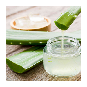 GELÉE D'ALOE VERA SUPÉRIEURE: EXPORTATIONS EN VRAC ABORDABLES DU VIETNAM - Product Image 1