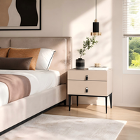 Table de chevet moderne en MDF E0, 2 tiroirs, écologique, durable, pour chambre à coucher, salon, cadre en acier inoxydable, minimaliste