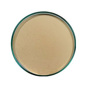 Extrait de plantes de qualité supérieure AKBA Boswellia serrata Extrait botanique Standardisation 10% HPLC Prix de gros - Product Image 1