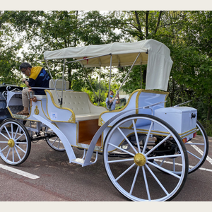 Carroza de <span class=keywords><strong>Caballos</strong></span> Eléctrica Royal Manufacturer, Material de Hierro, para Montar a Caballo - Product Image 2