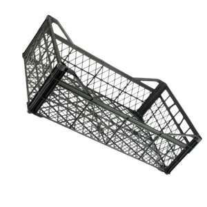 DPK39 Caisses en plastique pour épinards Assiettes et bols jetables élégants pour servir pour les repas décontractés et les événements de restauration - Product Image 3