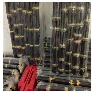 Tiges de canne à sucre congelées au Vietnam morceaux de canne à sucre et jus de canne naturel congelé - Product Image 4