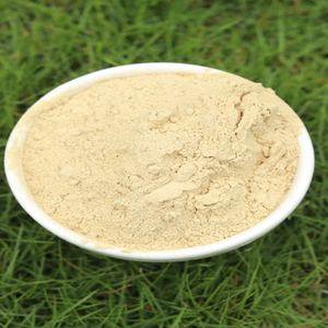 Poudre d'amla séchée au soleil conservant un maximum de nutriments traitée en douceur pour une meilleure puissance et un meilleur goût - Product Image 1