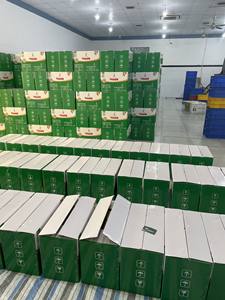 (ตัวอย่างฟรี) เม็ดมะม่วงหิมพานต์เวียดนามแบบเต็มเมล็ด อบกรอบ มาตรฐาน AFI บรรจุในกล่องดีบุกอย่างหรูหรา WW320 WW240 ISO +84 326055616 - Product Image 3