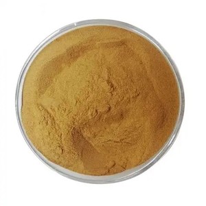 Coleus Extract 20% Polvo de materia prima estandarizado Calidad superior para el mejor precio al por mayor - Product Image 2